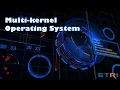 Multikernel Operating System