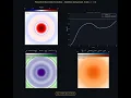 Primordial Void gravitational collapse into a Black Hole