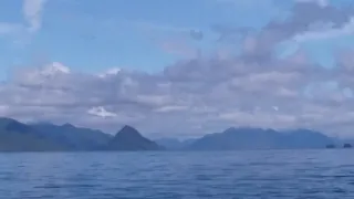 Dead in the water (engine dies in windless channel)