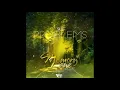Download Lagu Sly - PROBLEMS- Memory Lane Riddim - Soca 2023