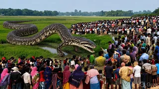 शराबी के साथ क्या हुआ कि लोग देखकर अल्लाहु अकबर के नारे लगाने लगे | Deeni Baatein