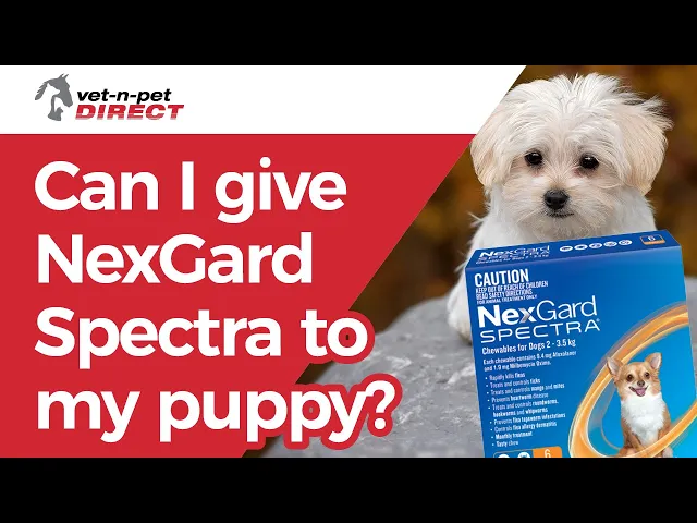 NexGard Spectra Chews for Medium Dogs 7.6-15kg