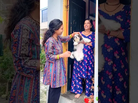 Shih Tzu Puppy Leke a Gaye Ghar Pe 🙉😂 #shorts #trending #comedy #funny #ytshorts #youtubeshorts