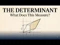 What Does a Determinant Actually Do to Space