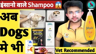 Download इंसानो वाले Shampoo 🤔 Dog पर इस्तेमाल कर सकते है  😱 || Can I Use Human Shampoo On Dogs  #doglife MP3