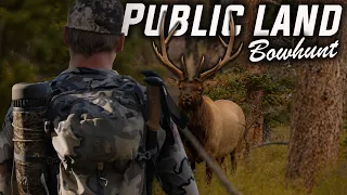 Backcountry Public Land Bowhunt of a Lifetime