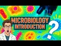 What is Microbiology Careers Jobs and Salary Top Universities Worldwide 2025