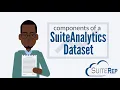 Components of a SuiteAnalytics Dataset