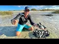 Download Lagu Foraging for Clams and Oysters Florida Style Catch & Cook
