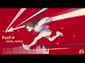 SDN - Rush