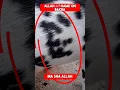 Download Lagu Allah الله name Bakra, MaShaAllah 🕋😱 #shorts #bakra #allah #allahuakbar #islam #eiduladha2023 #eid