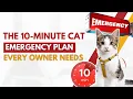 Here s How To Make An Emergency Cat Plan Before It s Too Late