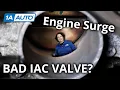 Car Engine Revving Up and Down How to Diagnose Engine Surge