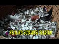 Download Lagu [FULL] KELILING SULAWESI SELATAN | JEJAK ANAK NEGERI (24/11/22)