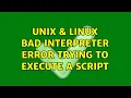 Unix Linux Bad interpreter error trying to execute a script