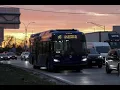 Q6 To Jamaica Bus Terminal Via Supthin Blvd