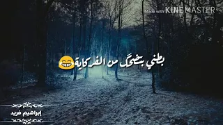 مهرجان الحي   حمو بيكا  حالات واتس دندنها