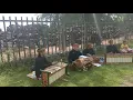 Download Lagu Candi Plaosan. Pangkur singgah singgah kala singgah