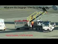 What are the baggage rules for Qatar Airways