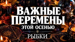 🔮РЫБКИ 🍂 Что изменится в вашей жизни этой осенью. Таро прогноз от Татьяны КЛЕВЕР 🍀