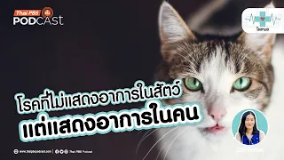 ทำไมการฉีดวัคซีนพิษสุนัขบ้าให้สัตว์เลี้ยงจึงสำคัญสำหรับคนในบ้าน?