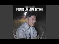 Download Lagu Pulang Lah Adiak Sayang