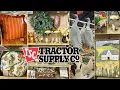 Tractor Supply Co Spring Viral Collection 2026 is in Stores Now Shop With Me for Decor More