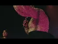 Chanel Novas, Nimsy Lopez - Reverdecerás (Video Live Oficial)