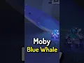 Download Lagu Catching MOBY BLUE WHALE + SECRET in Roblox Fisch