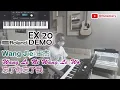 Wang Jie - Wang Le Ni Wang Le Wo Roland EX20 Demo (Keyboard cover)