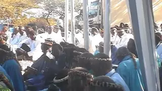 shembe inkosi uthingo vuthelani icilongo 156 