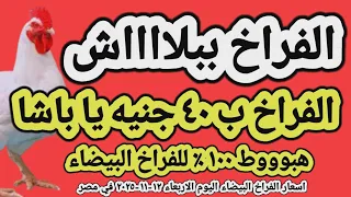 اسعار الفراخ البيضاء اليوم سعر الفراخ البيضاء اليوم الاربعاء ١٢ ١١ ٢٠٢٥ في مصر جمله وقطاعي 