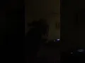 Zinoleesky - STEPH CURRY (truee_key style)