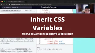 Inherit CSS Variables Basic CSS freeCodeCamp tutorial