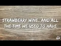 Noah Kahan - Strawberry Wine (Lyrics)