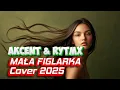 Lagu AKCENT \u0026 DJ RYTMX -  MAŁA FIGLARKA 🔥Cover 2025⚡️