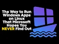 Winboat Run Any Windows App on Linux