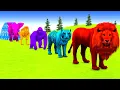Download Lagu Long Slide Game With Cow Elephant Gorilla Hippopotamus Tiger - 3d Animal Game - Funny 3d Animals
