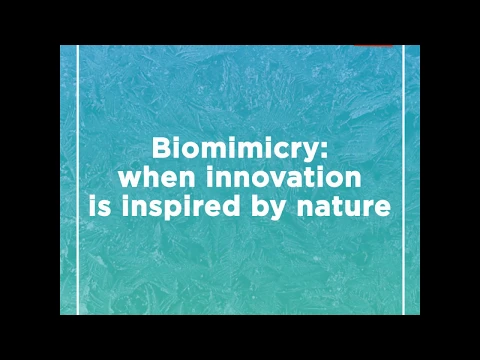 Watch Biomimicry: when innovation is inspired by nature on YouTube.