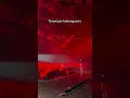 Download Lagu TEROMPET PEMERSATU BANGSA  #tiktok #tiktokviral #tiktokvideo