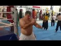 Muscle Daddy Bear Boxing Training