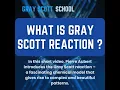 GRAY SCOTT REACTION
