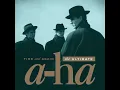 The Living Daylights - a-ha