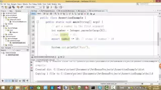 Assertions in Java
