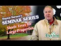 The Best Shade Trees for Large Properties