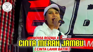 cinta merah jambu edb pro feat novia rozma live angkringan teh ita 