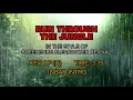 Creedence Clearwater Revival - Run Through The Jungle (Karaoke)