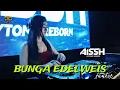 Download Lagu FUNKOT - BUNGA EDELWEIS (Thomas Arya) Cover By DJ AISSH ICYTONE