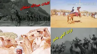 كلمات ودمعلا العامري نحنا بني عامر مابنعادي البخاوينا 