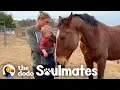 Download Lagu A Horse named Magic Inspires At-Risk Girls | The Dodo Soulmates